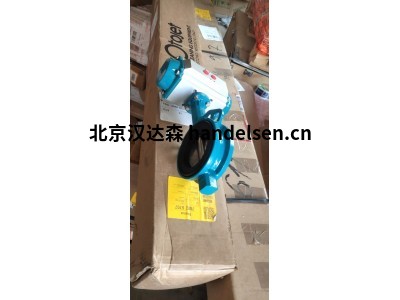 interapp中心蝶閥D1 0050用于采礦/泥漿等