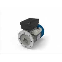 M.T. MotoriTN 系列三相異步電動(dòng)機適用于工業(yè)應用中的通用用途