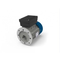 M.T. Motori DF 系列電機具有雙極性的三相自制動(dòng)電機