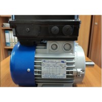 M.T. Motori  XF 系列具有高啟動(dòng)轉矩的單相自制動(dòng)電機