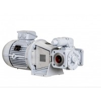 Johnson Pump TopGear Bloc 內嚙合齒輪泵以直接驅動(dòng)電機的速度運行